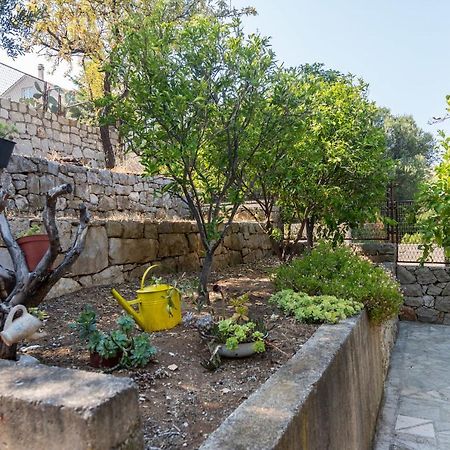 فيلا House Andrea Lastovo المظهر الخارجي الصورة